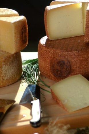 degustazione formaggi 2